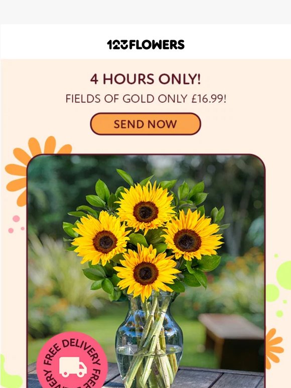 HURRY! £16.99 Sunflowers limited time only! 🌻🌻