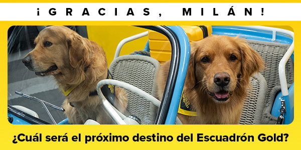 Rastreando el estrés de los viajeros por el mundo