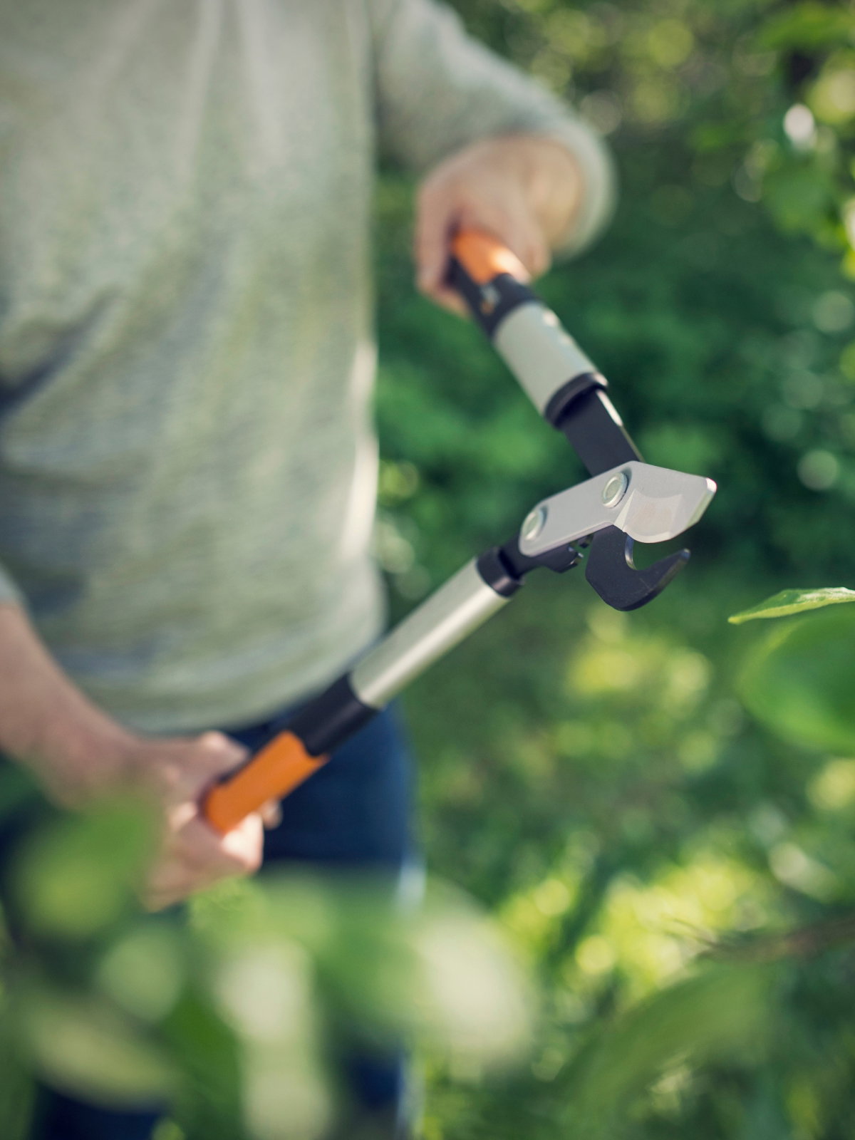 category_image_garden