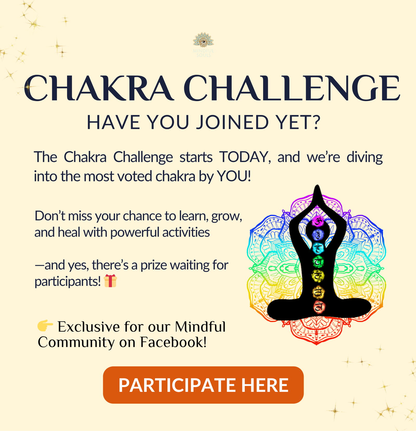 PARTICIPATE HERE