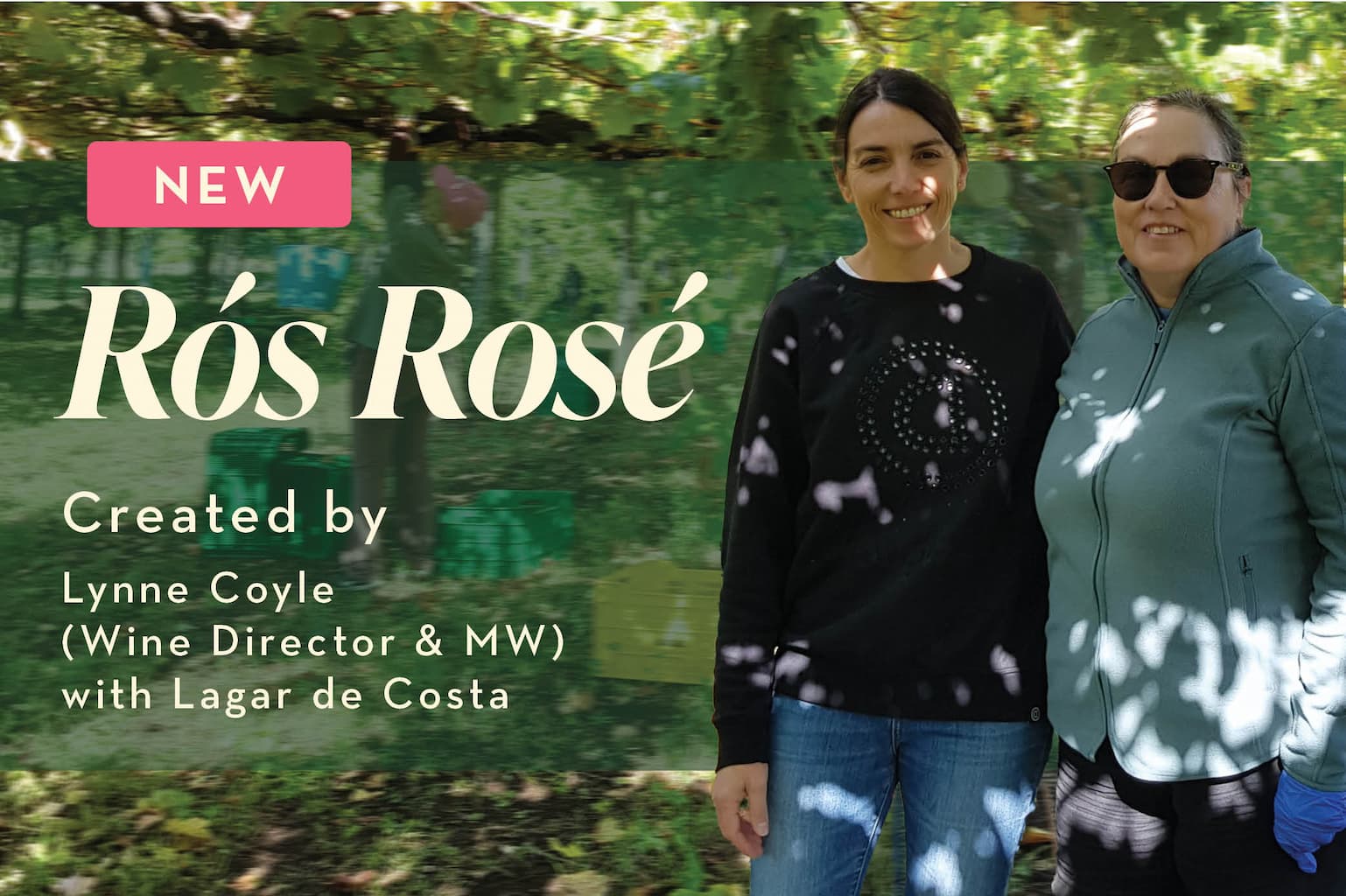 New Rós Rosé from our Master of Wine
