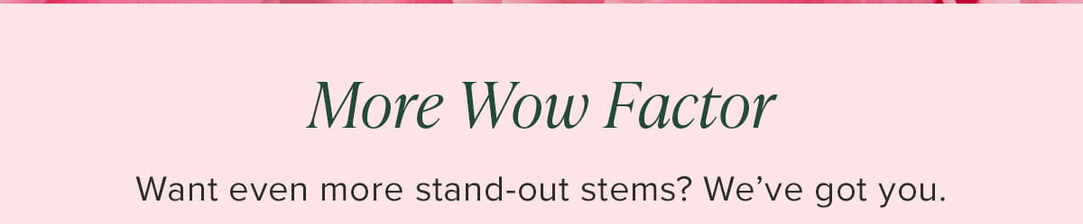 More Wow Factor - Want even more stand-out stems? We've got you. 