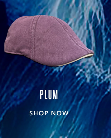 Plum Shop Now