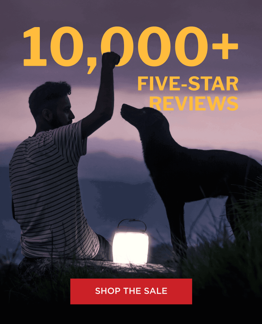  10,000+ Five-Star Reviews [ SHOP THE SALE ]