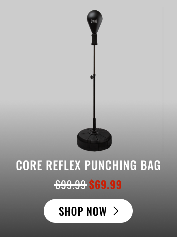 Core Reflex Punching Bag | Shop Now