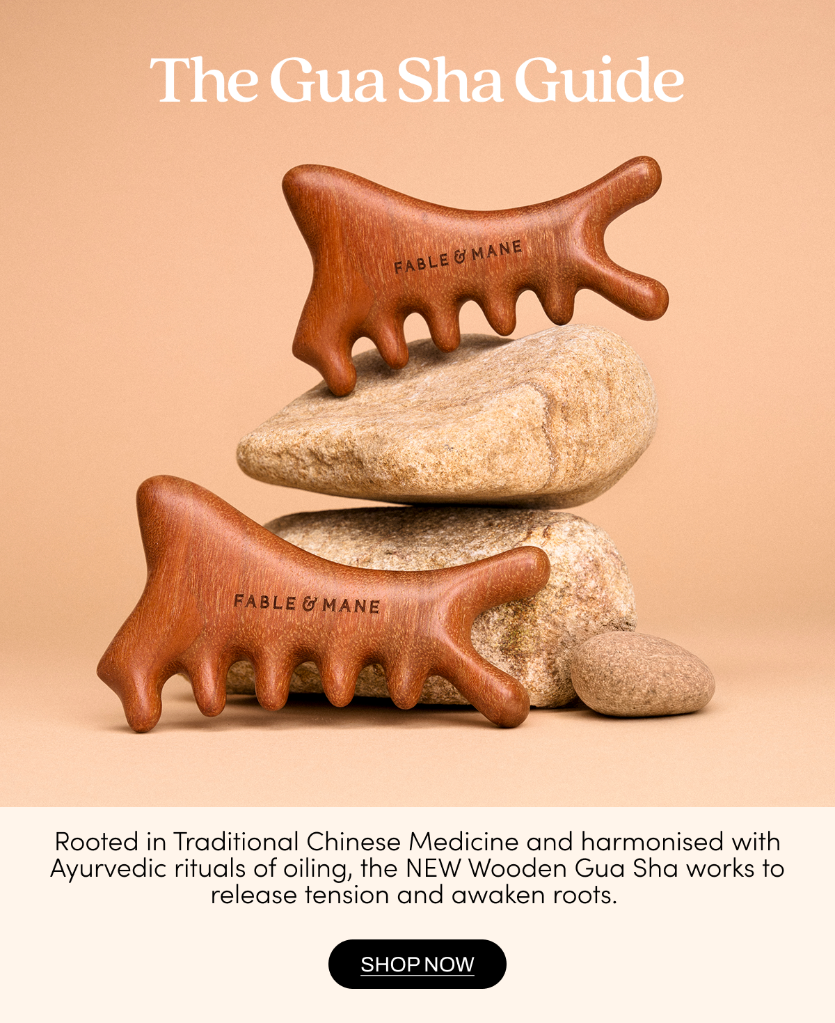 The Gua Sha Guide