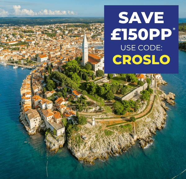 Aerial view of a coastal town with historic buildings and greenery, overlooking the sea.