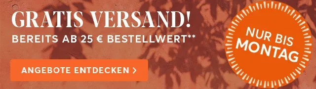 Pfingsten_Header_Desktop-1