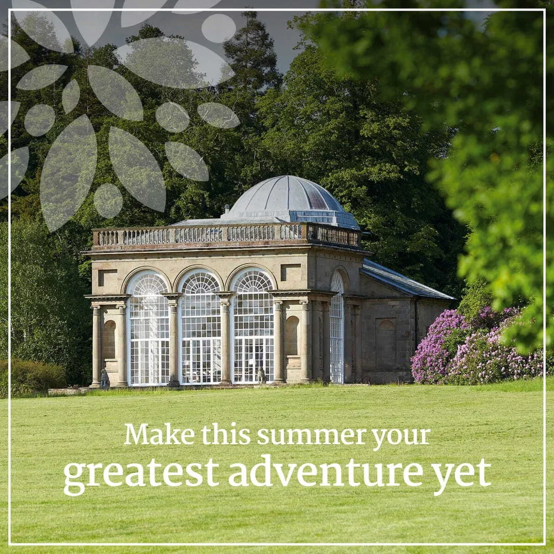Summer Adventure