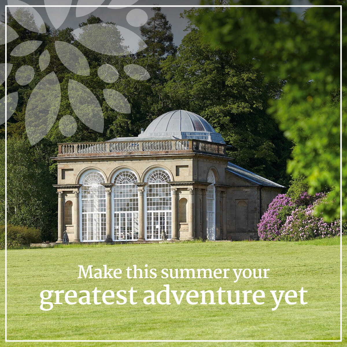 Summer Adventure
