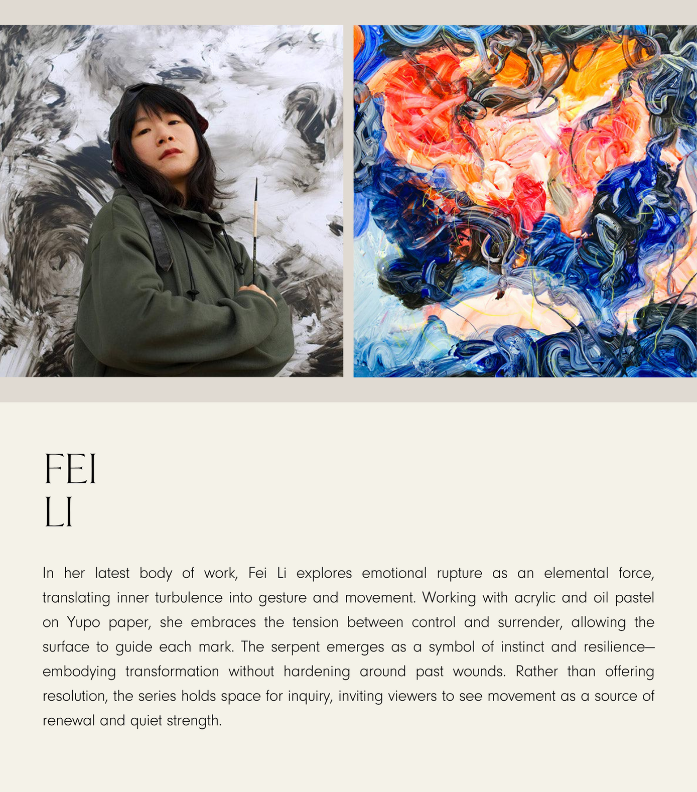 Fei Li