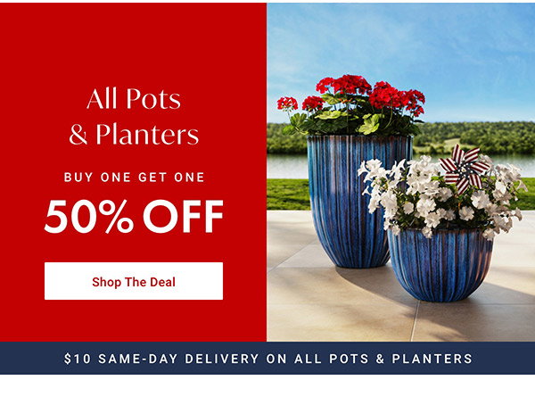 Buy One, Get One 50% Off All Pots & Planters | Shop the Deal >