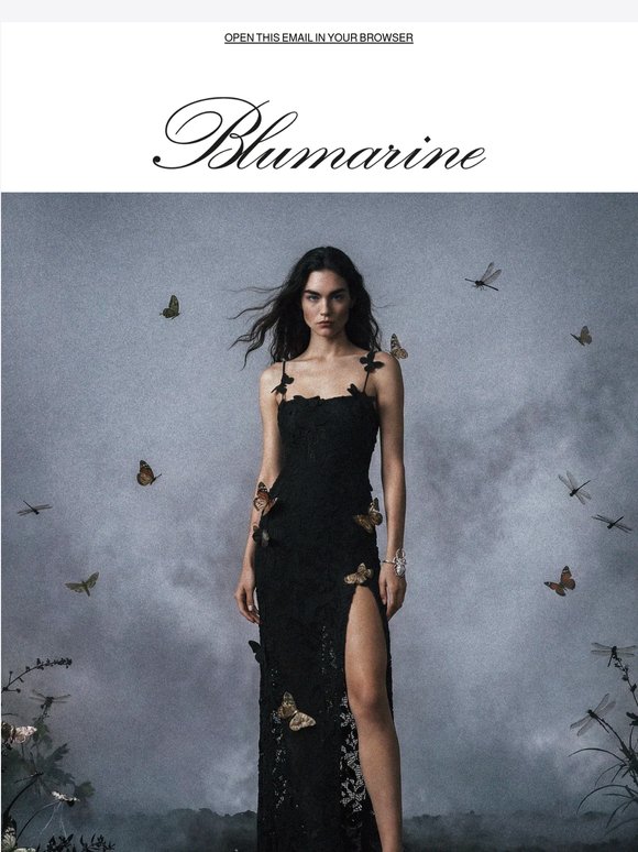 The black dress edit | SS26