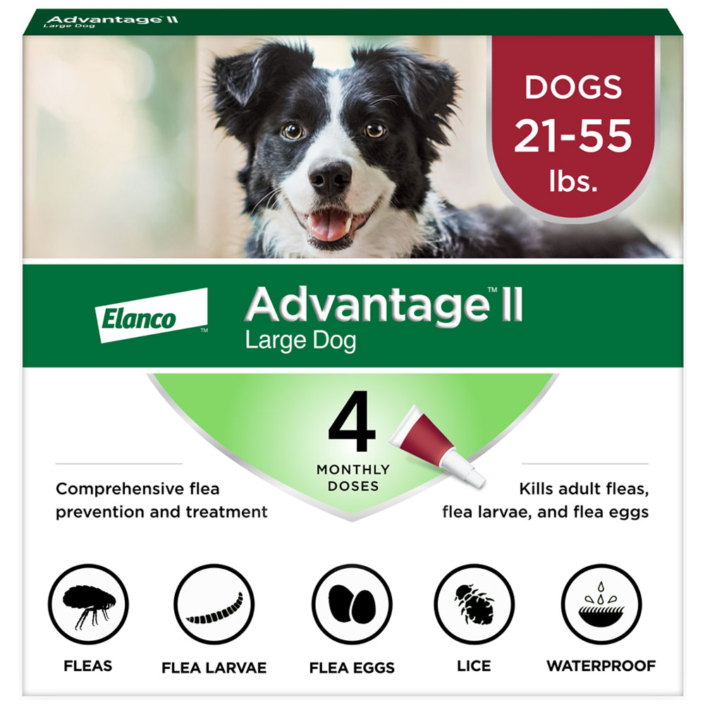 Image of Advantage II Large Dogs 21-55 lbs.|Vet-Recommended Flea Treatment & Prevention|4-Month Supply