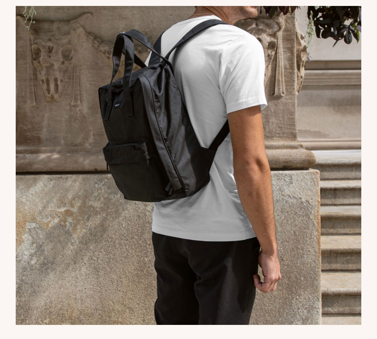 discover more