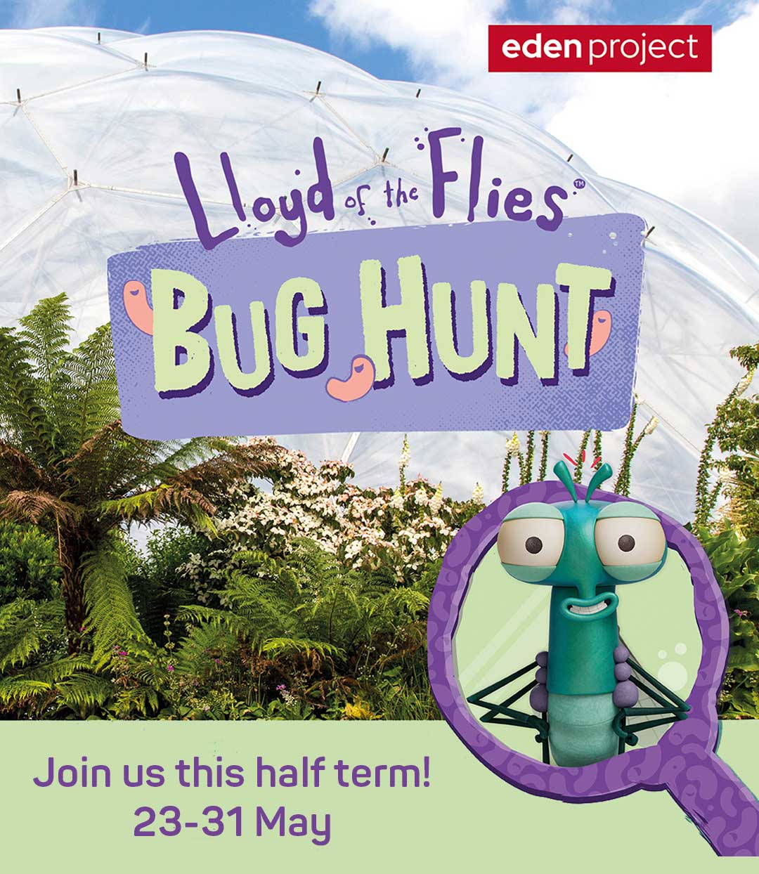 Lloyd of the Flies
