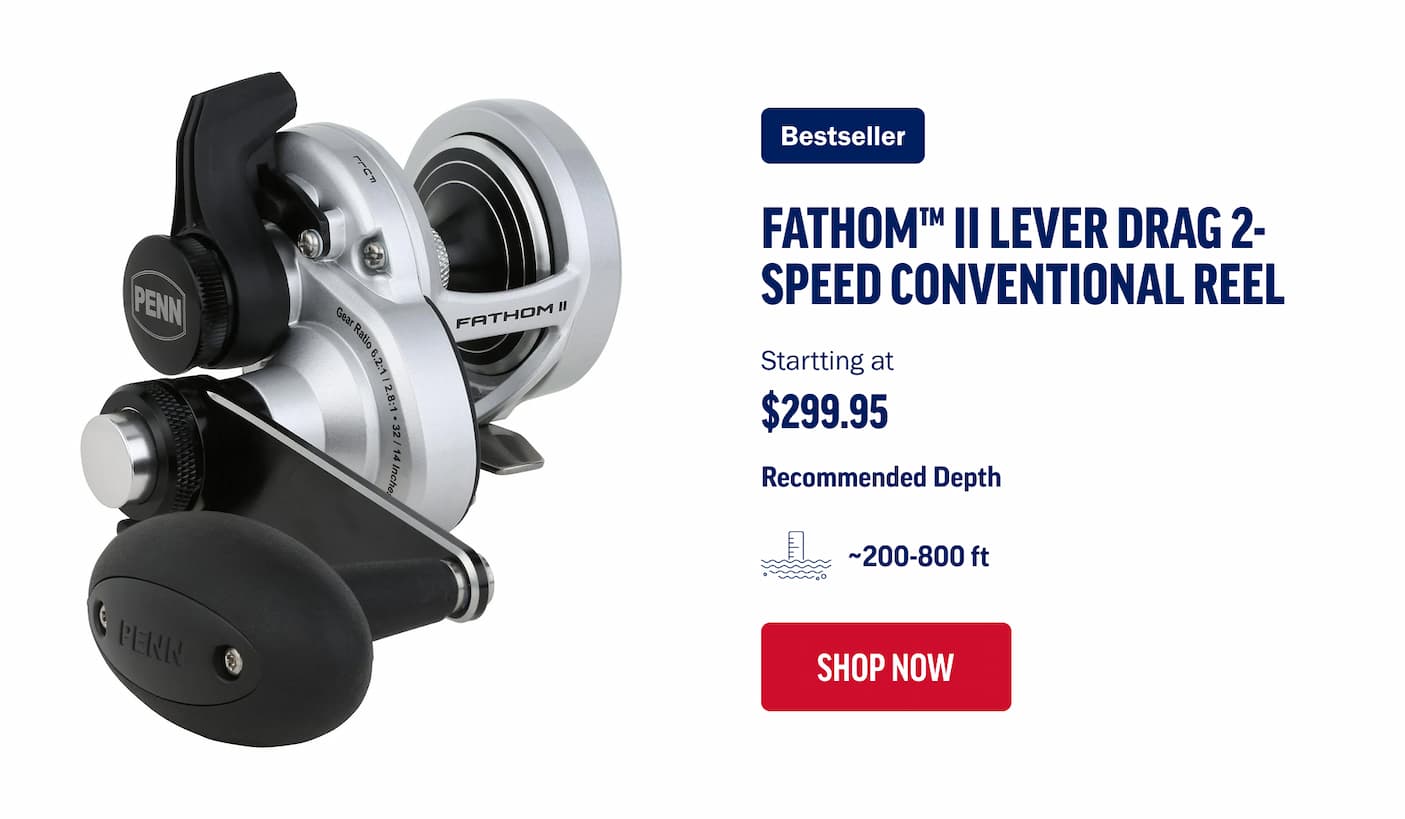 Fathom II Lever Drag 2-Speed Conventional Reel