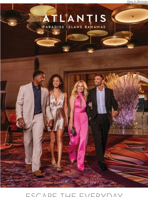 Live music, world-class dining, and unforgettable evenings at Paradise