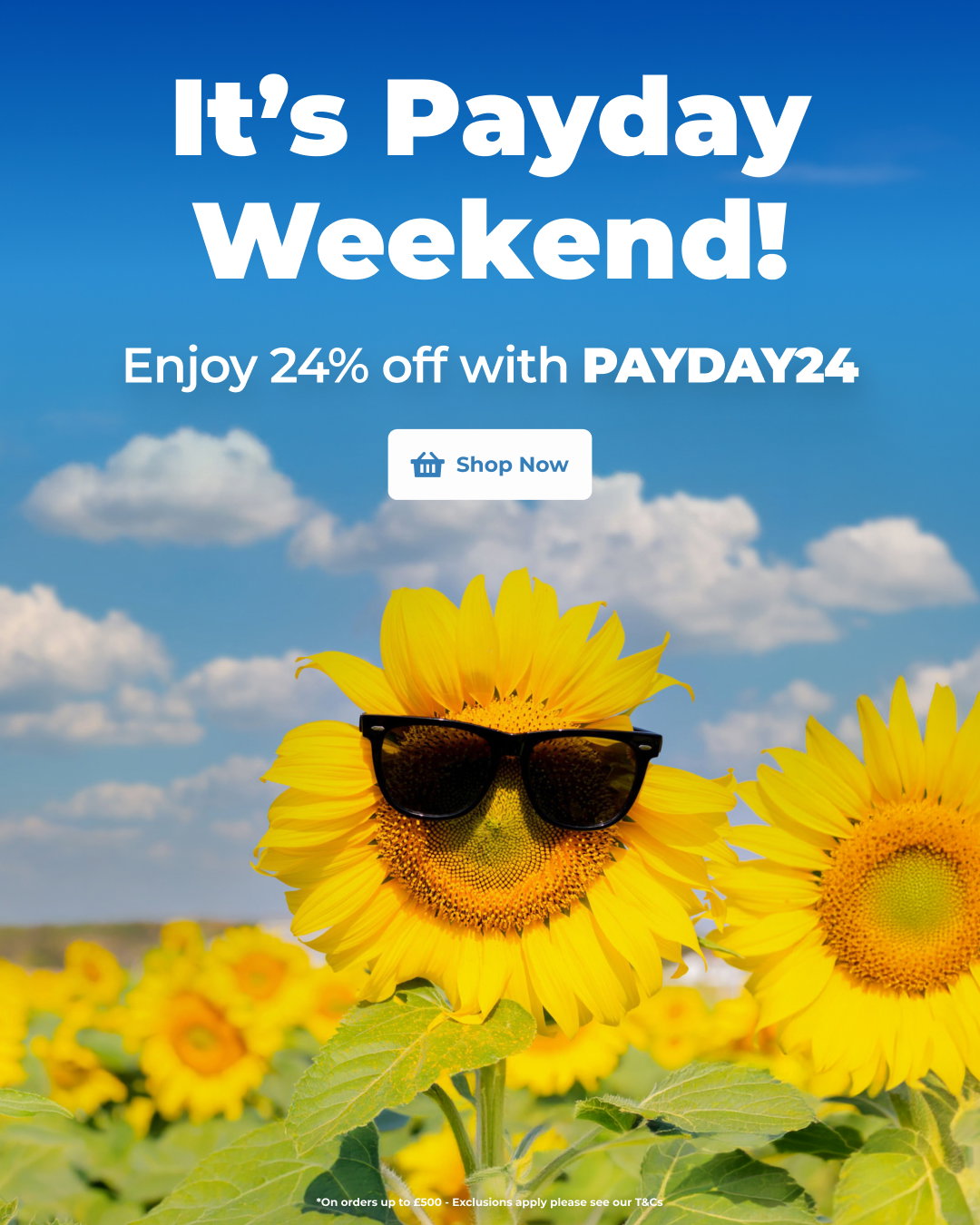 Special Offers