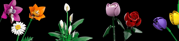 LEGO® Botanical Collection