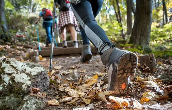 Notre top 7 des meilleures chaussures de randonnée du moment