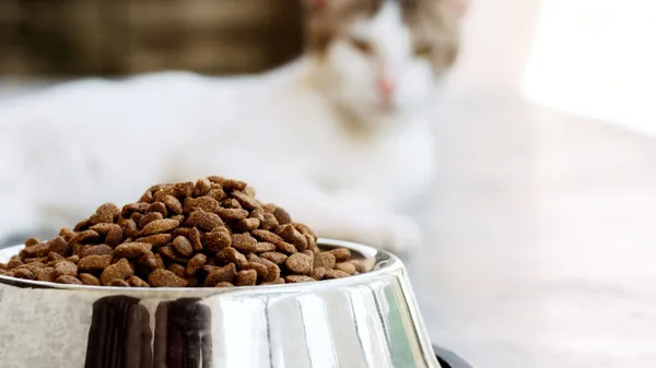 Quelles sont les meilleures croquettes pour chat à choisir?