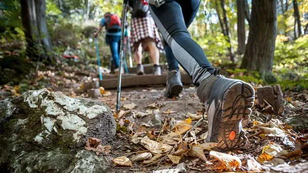 Notre top 7 des meilleures chaussures de randonnée