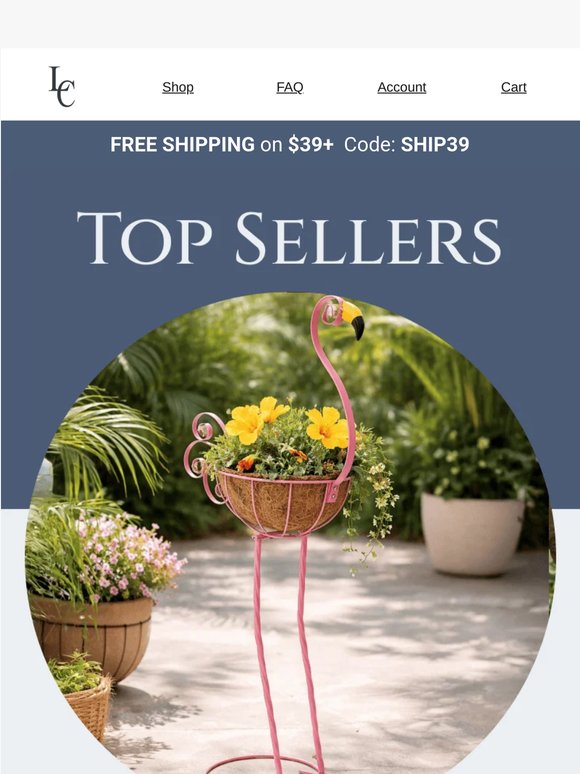 🚚Orders Over $39 Ship Free