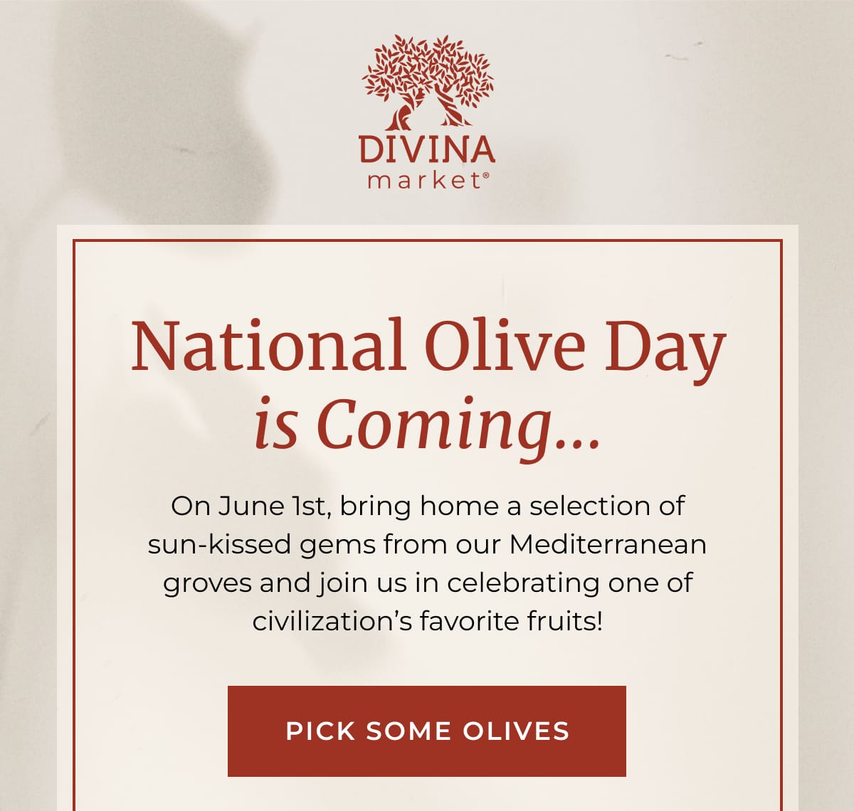 Divina Market | National Olive Day is Coming... | On June 1st, bring home a selection of sun-kissed gems from our Mediterranean groves and join us in celebrating one of civilization’s favorite fruits! | [ PICK SOME OLIVES ]