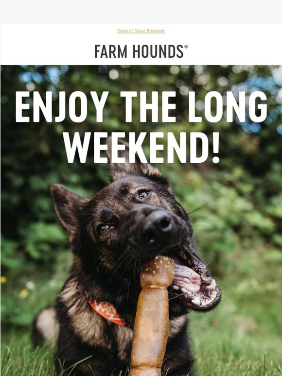 Psst… your dog wants you to check your email 🐾