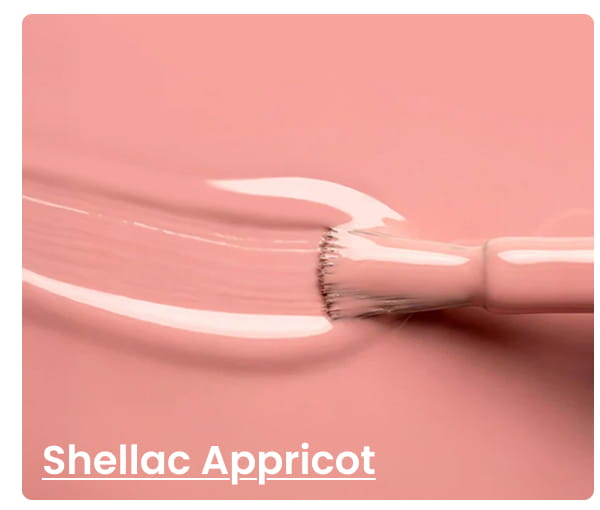 Shellac Appricot