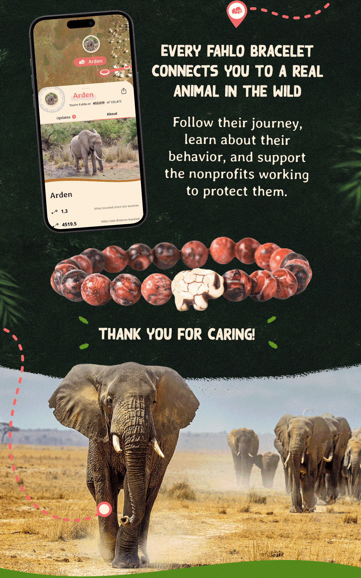 Follow their journey, learn about their behavior, and support the nonprofits working to protect them. Thank you for caring!