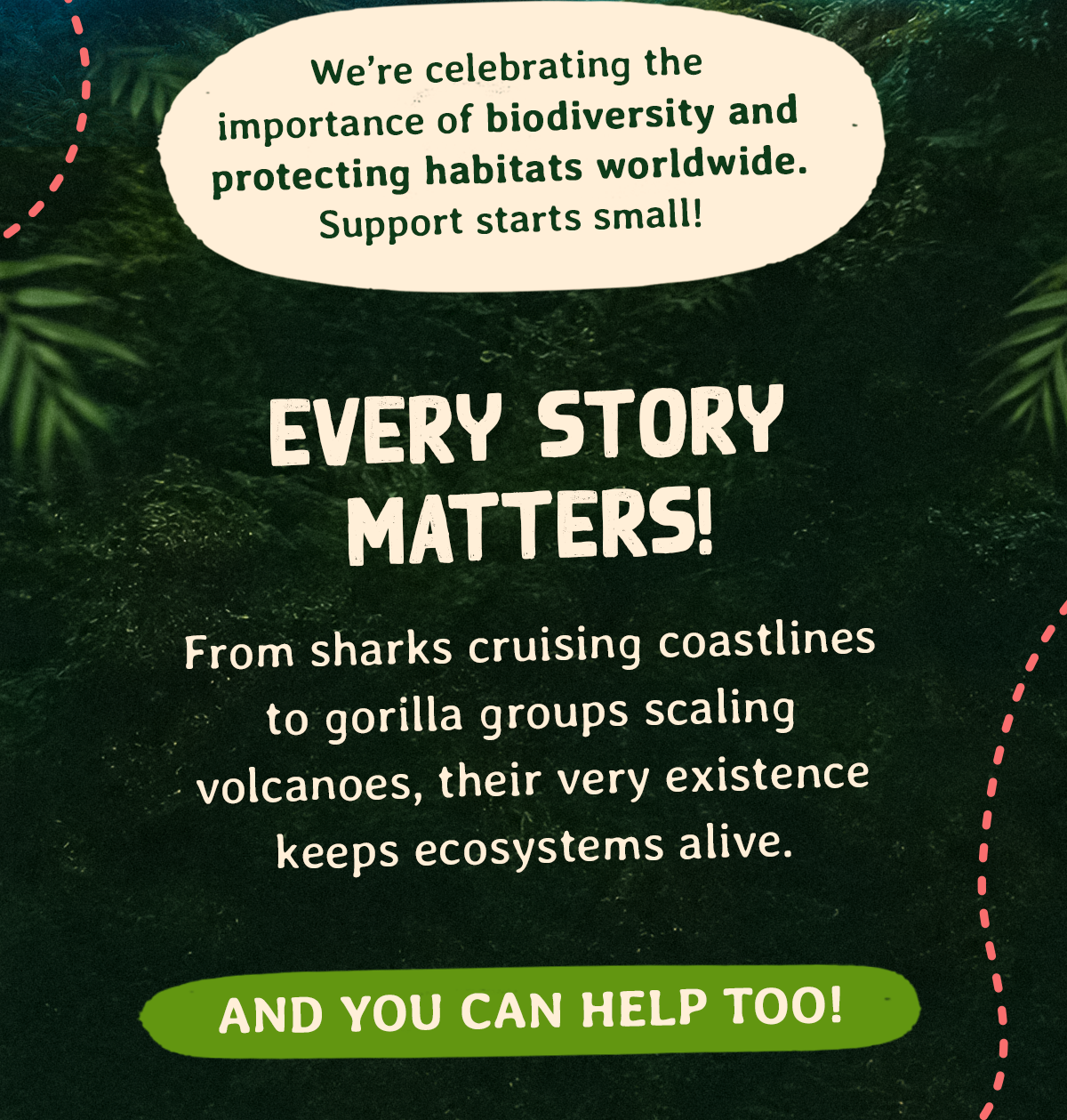 From sharks cruising coastlines to gorilla groups scaling volcanoes, their very existence keeps ecosystem alive. You can help too!