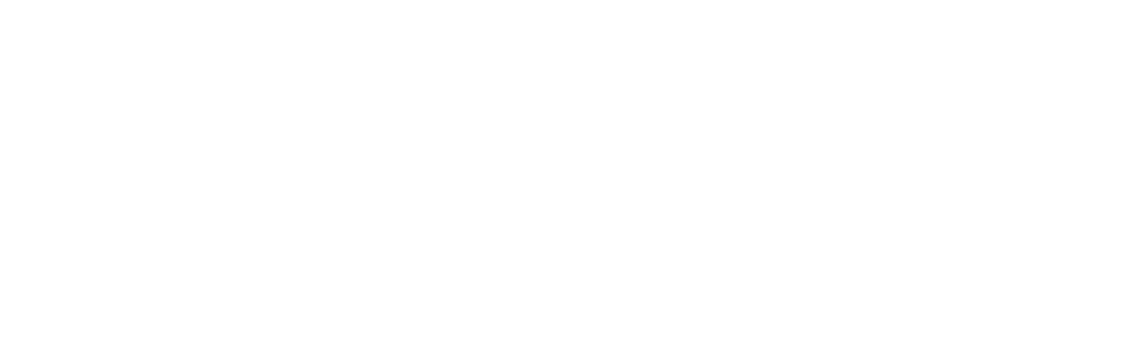 WS_Logo_White_Stencil_RGB 1