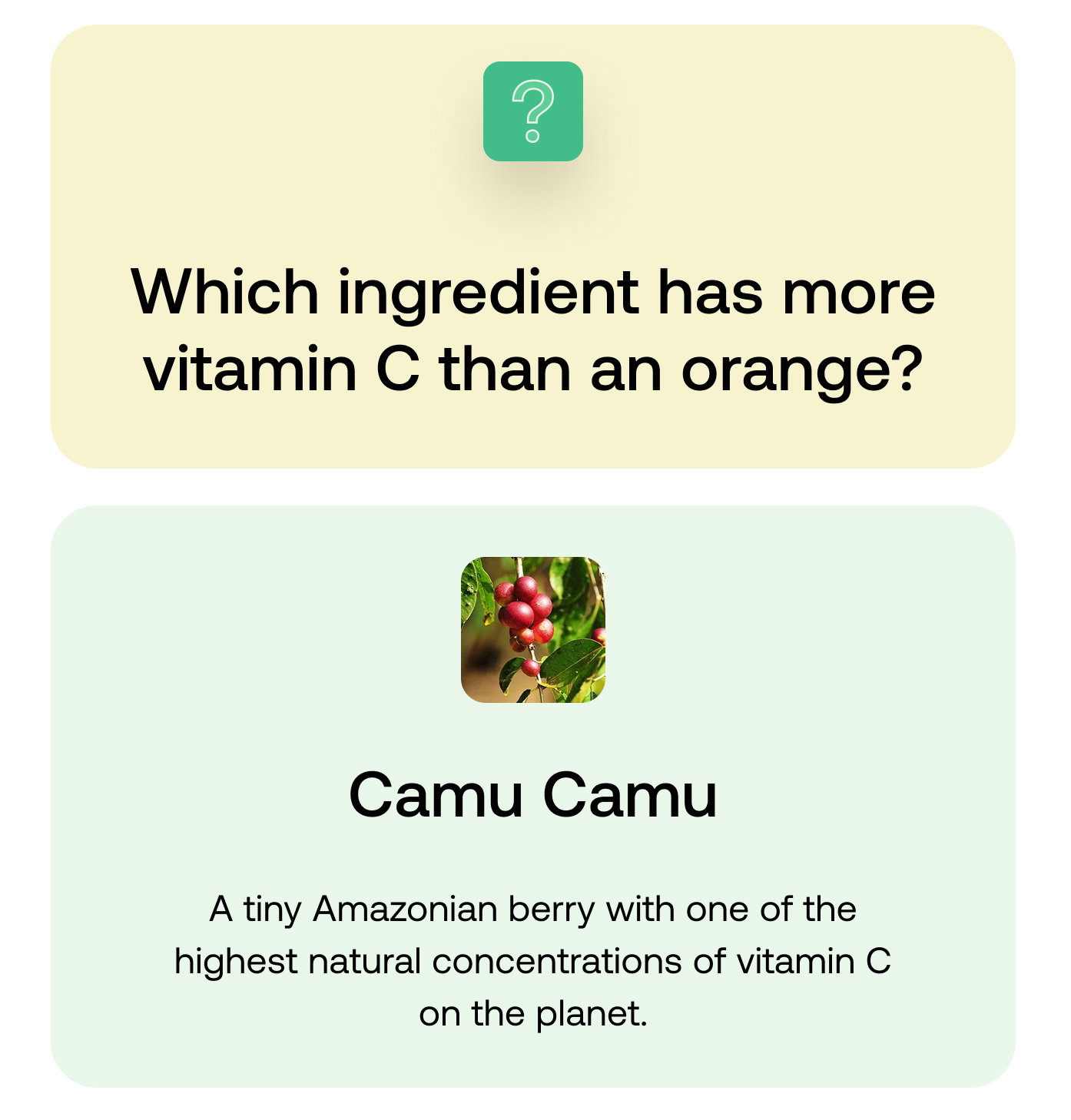 Which ingredient has more vitamin C than an orange? Camu Camu. A tiny Amazonian berry with one of the highest natural concentrations of vitamin C on the planet.