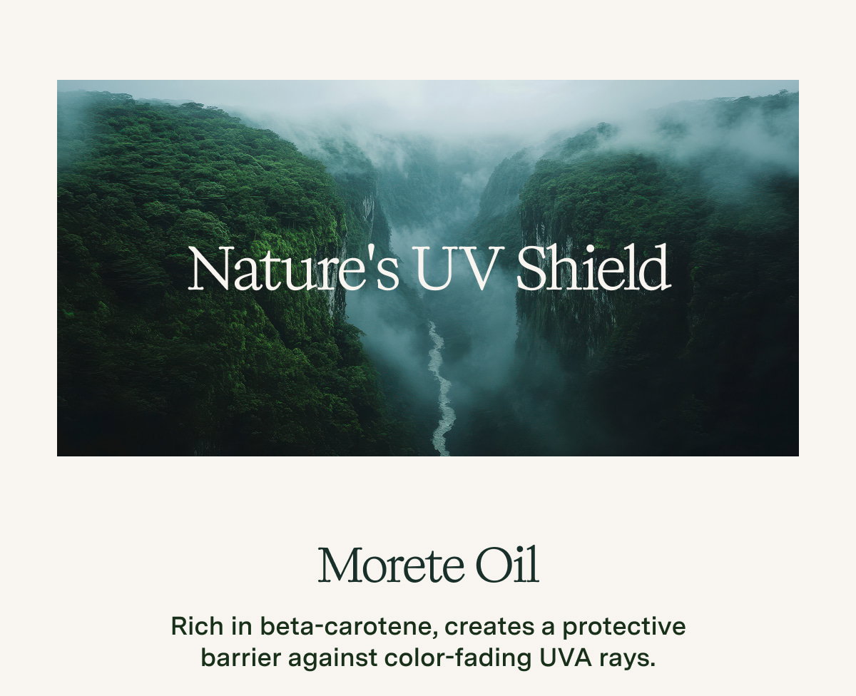 Morete Oil
