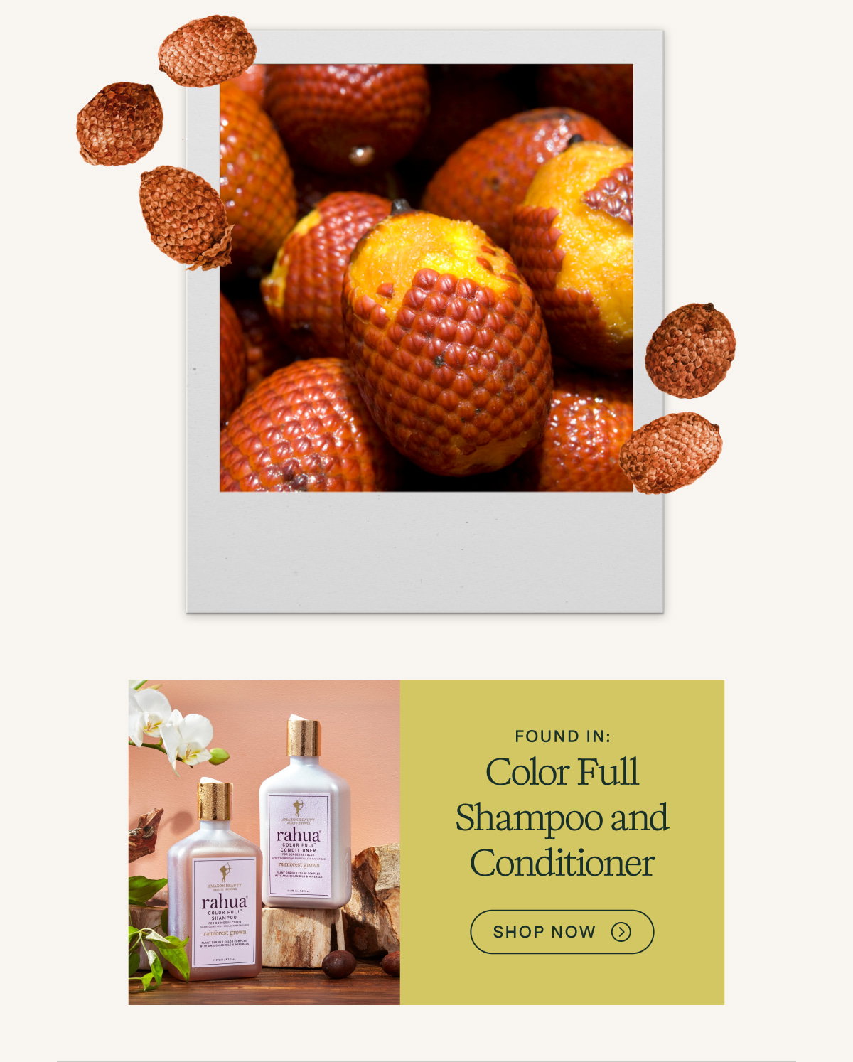 Color Full Shampoo and Conditioner