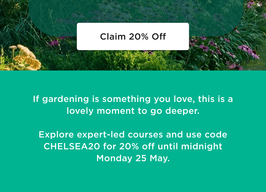 Claim 20% off