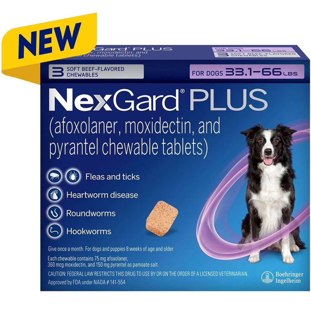 Image of NexGard Plus for Dogs - 33.1-66 lbs Purple, 3 Months