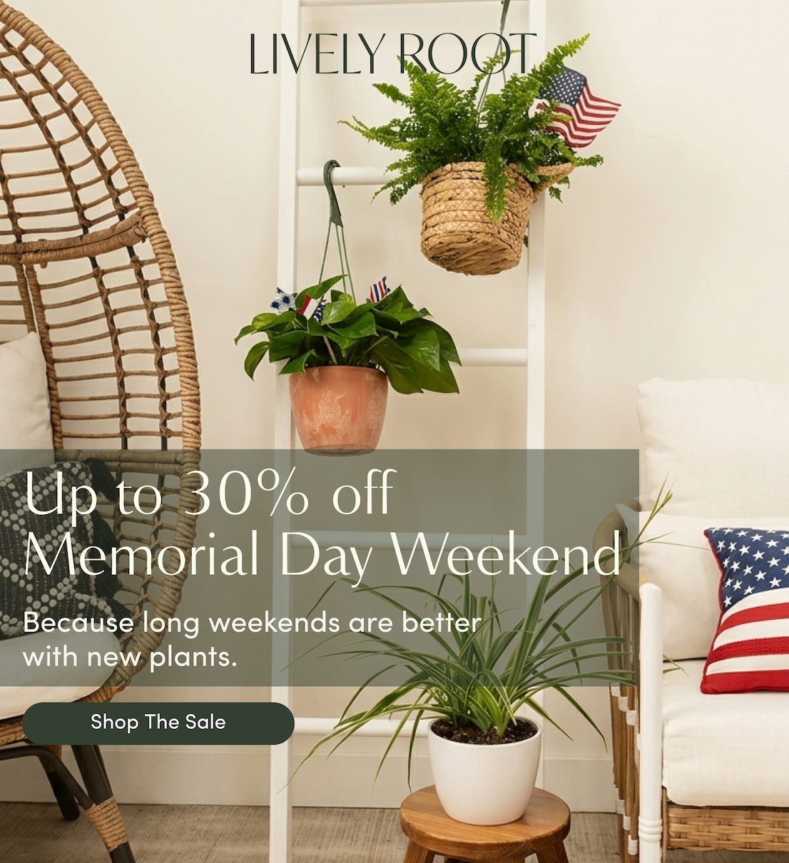shop the sale