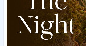 Own The Night