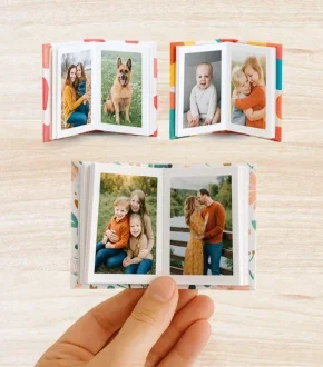 3 Mini Books
