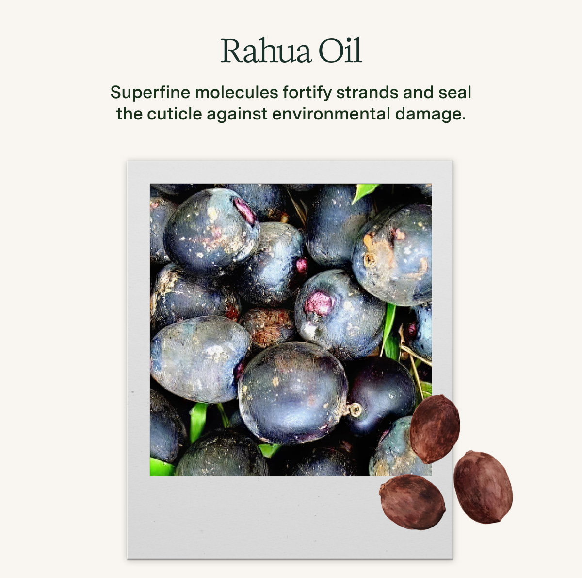Rahua Oil