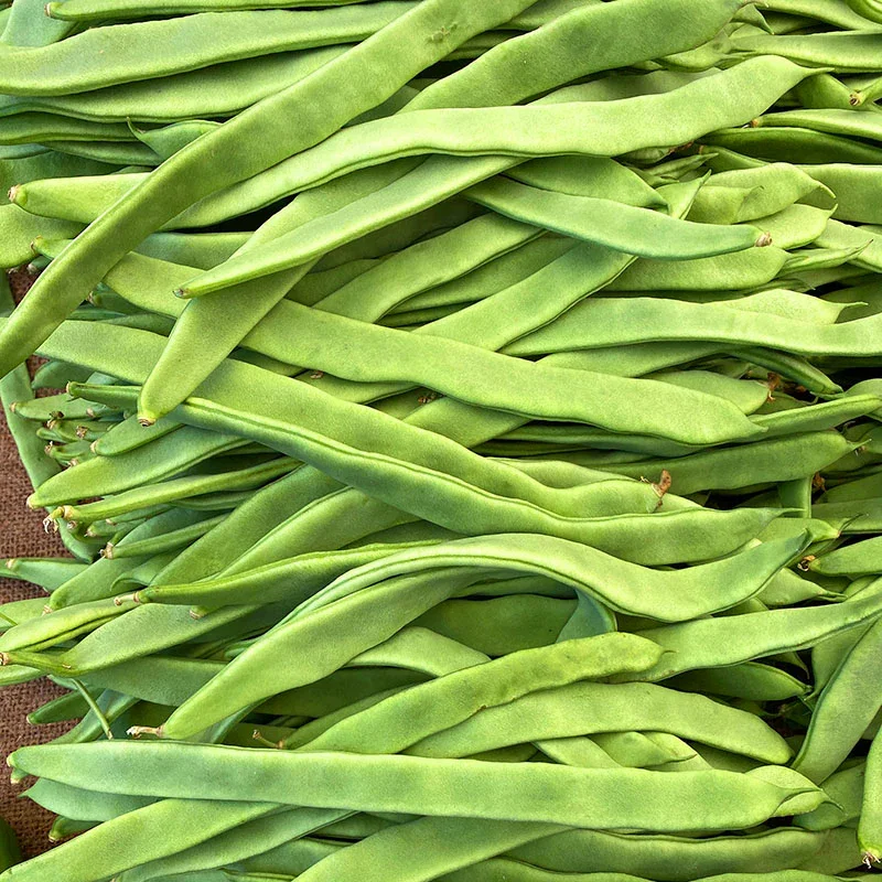 Runner Bean 'Moonlight' Seeds