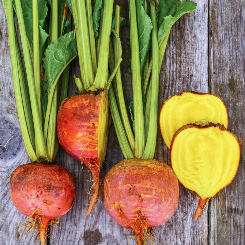 Beetroot 'Burpees Golden' Seeds