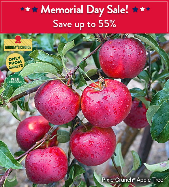 Save up to 55% on select items 