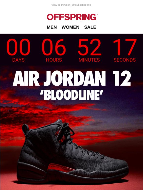 Air Jordan 12 'Bloodline'