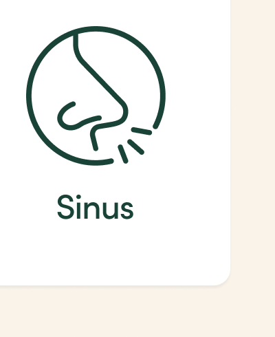 Sinus