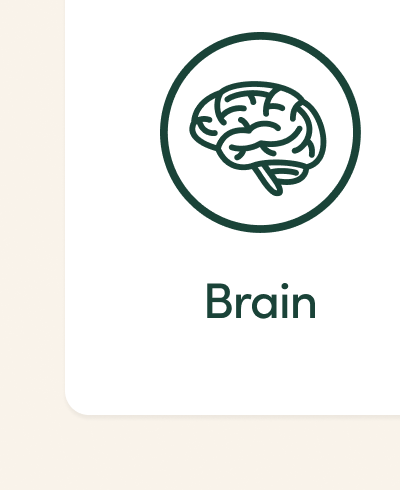 Brain