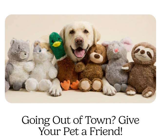 Shop Pet Toys